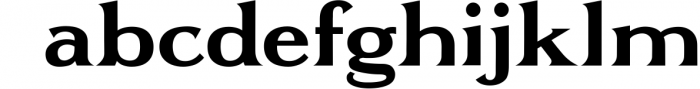 Optimus - Serif font family 1 Font LOWERCASE