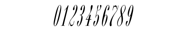 OPTIBorDen-Italic Font OTHER CHARS