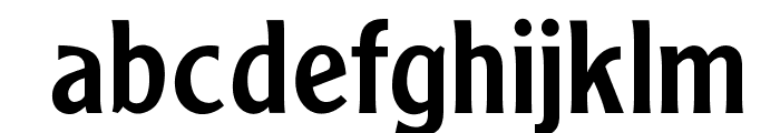 OPTIClearfaceGothicDemiAg Font LOWERCASE