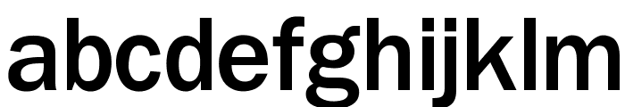 OPTIFranklinGothic-Medium Font LOWERCASE