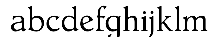 OPTIHollandseLight-Agency Font LOWERCASE