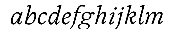 OPTIMagnaCarta-Italic Font LOWERCASE