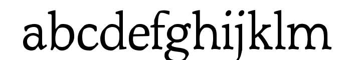 OPTIMagnaCarta-Regular Font LOWERCASE