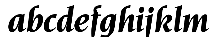OPTINonoy-BoldItalic Font LOWERCASE