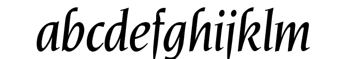 OPTINonoy-MediumItalic Font LOWERCASE