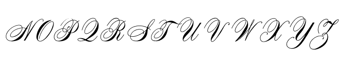 OPTISwallow-Bold Font UPPERCASE