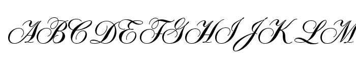 OPTISybaris-Bold Font UPPERCASE