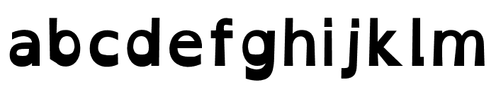 OpenDyslexic Bold Font LOWERCASE