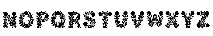Orsian Regular Font LOWERCASE