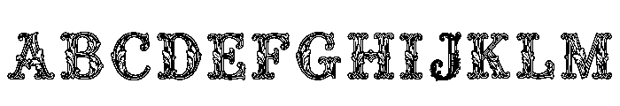 Ortho Regular FONT
