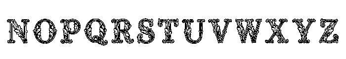 Ortho Regular Font LOWERCASE