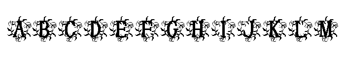 Orvara Monogram FONT