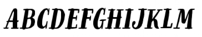 Organika Serif Italic Font UPPERCASE