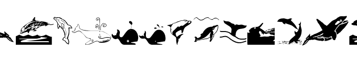 Orcas Font LOWERCASE