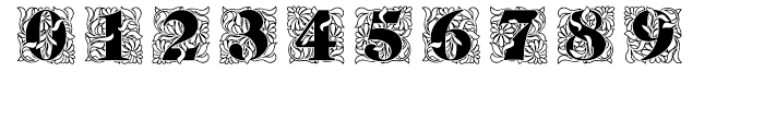 Ornate Initials Style One Font OTHER CHARS