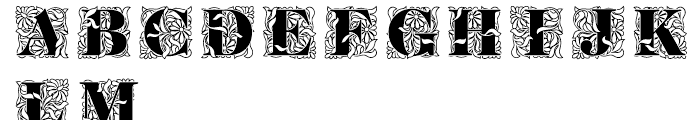 Ornate Initials Style One Font LOWERCASE