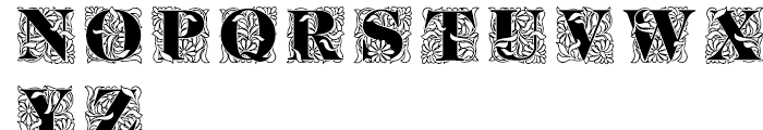Ornate Initials Style One Font LOWERCASE