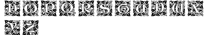 Ornate Initials Style Two Font LOWERCASE