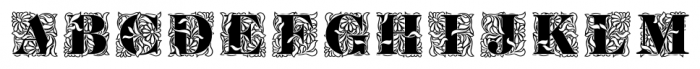 Ornate Initials Style One Font LOWERCASE