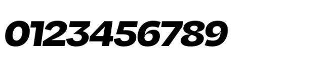 Ordinary Black Italic Font OTHER CHARS