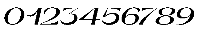 Orelo Text Expanded Bold Italic Font OTHER CHARS