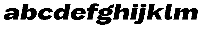 Orvian Extra Bold Expanded Slanted FONT