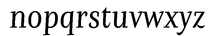 Orca BT Normal Italic Font LOWERCASE