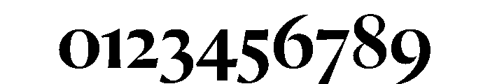 Orlando Medium Font OTHER CHARS