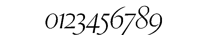 Orlando Thin Italic Font OTHER CHARS