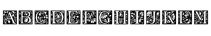 Ornamental Initials Font UPPERCASE