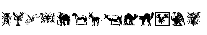 Ornaments Animalia Regular Font UPPERCASE