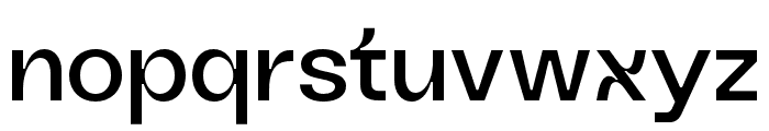 AVEstiana Medium Font LOWERCASE