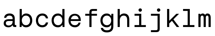 AeonikMono Regular Font LOWERCASE