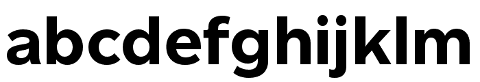 Altform Bold Font LOWERCASE