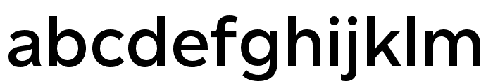 Altform SemiBold Font LOWERCASE