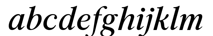 Archive Italic Pro Font LOWERCASE