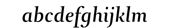 Arnhem Fine Medium Italic Font LOWERCASE