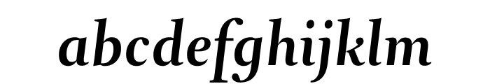 Arnhem Fine SemiBold Italic Font LOWERCASE