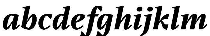 Audela Trial BlackItalic Font LOWERCASE