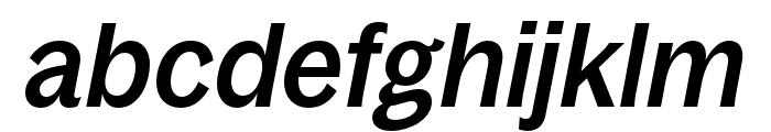 BagossCondensedTRIAL MediumItalic Font LOWERCASE