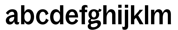 BagossCondensedTRIAL Medium Font LOWERCASE