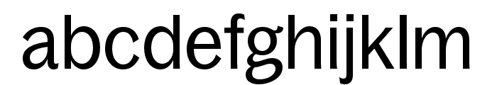 BagossCondensedTRIAL Regular Font LOWERCASE