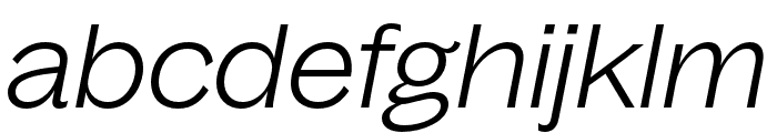BagossExtendedTRIAL LightItalic Font LOWERCASE