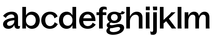 BagossExtendedTRIAL Medium Font LOWERCASE