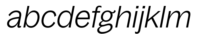 BagossStandardTRIAL LightItalic Font LOWERCASE