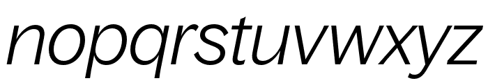 BagossStandardTRIAL LightItalic Font LOWERCASE