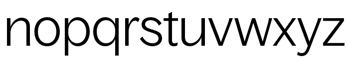 BagossStandardTRIAL Light Font LOWERCASE