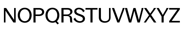 BagossStandardTRIAL Regular Font UPPERCASE