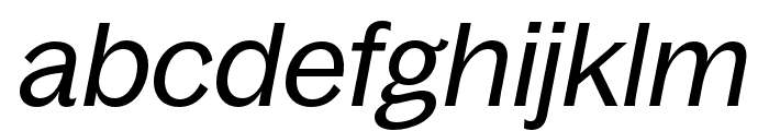 BagossStandardTRIAL RegularItalic Font LOWERCASE