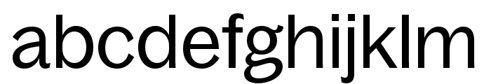 BagossStandardTRIAL Regular Font LOWERCASE